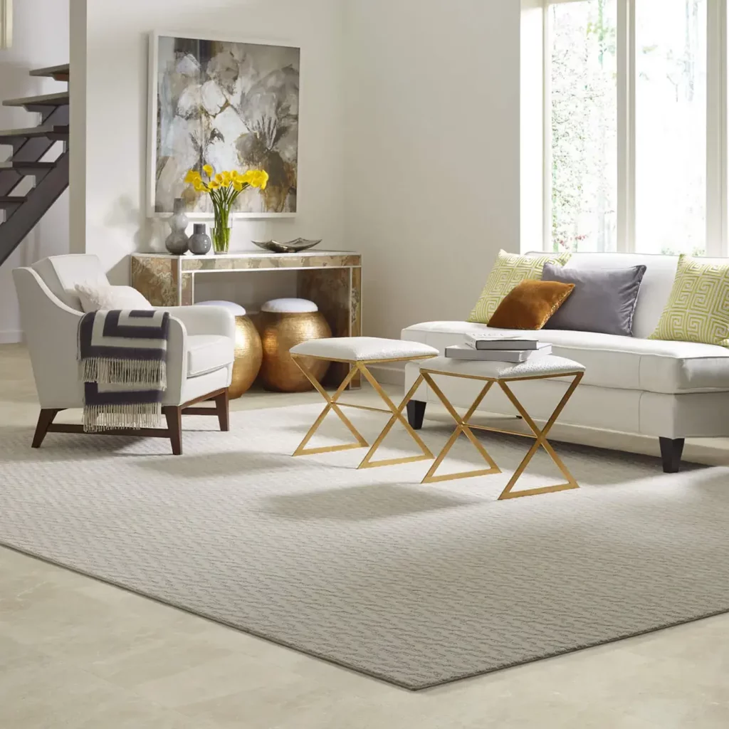 Area rug | Enterprise Wholesale Flooring and Lighting